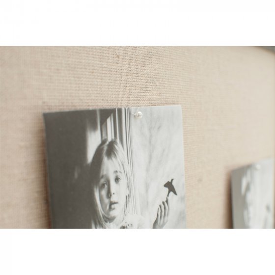 Pinnwand Tafel Traunstein 