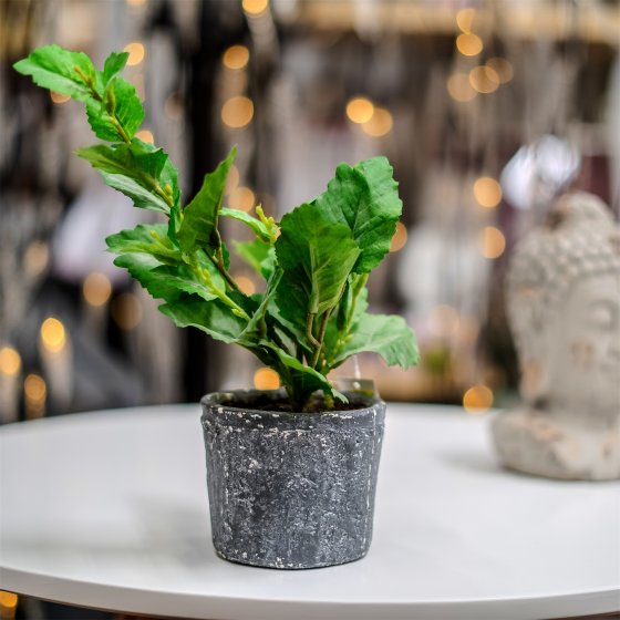 Grünpflanze im Topf Kunstpflanze Flora