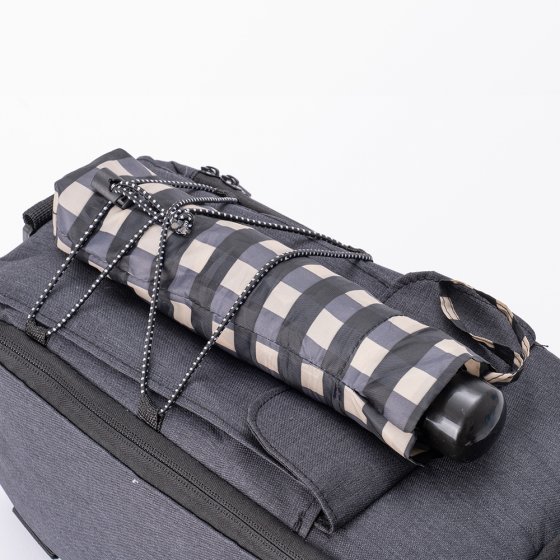 Fahrrad-Kühltasche 