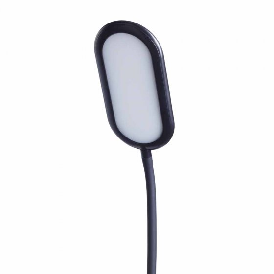Stehleuchte mit Schwanenhals