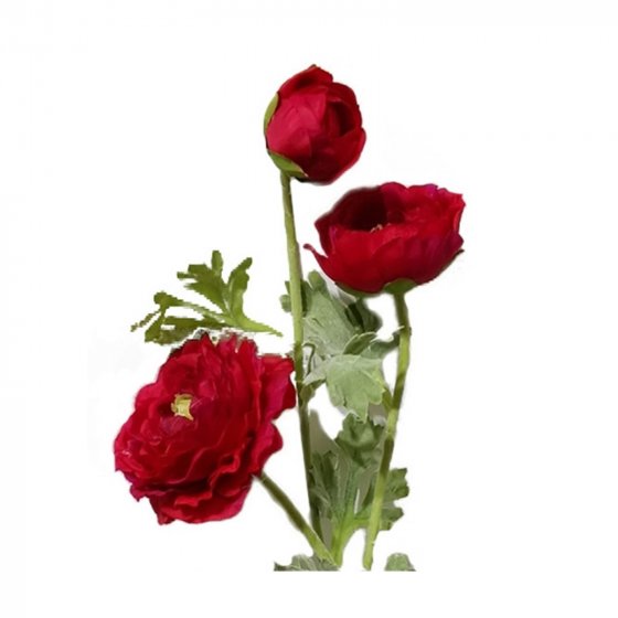 Ranunkel 2er Set Rot Flora