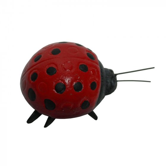 Wanddeko Marienkäfer 