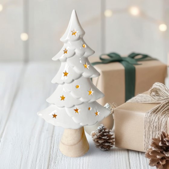 LED Winterbaum 2er Set mit Leuchtsternen