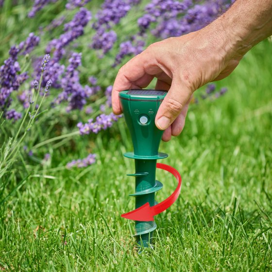 Solar-Wühlmausabwehr 