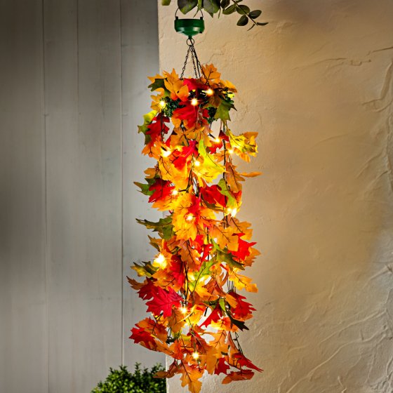 Solar-Hängeblumen "Herbstzauber" 