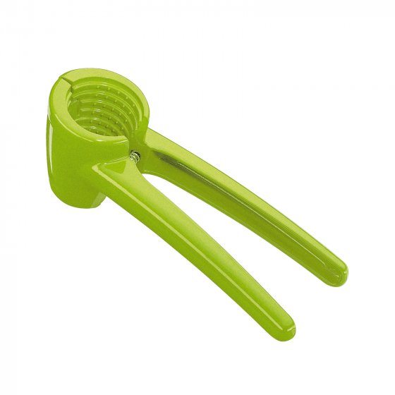 Nussknacker KNACKI COLORE 