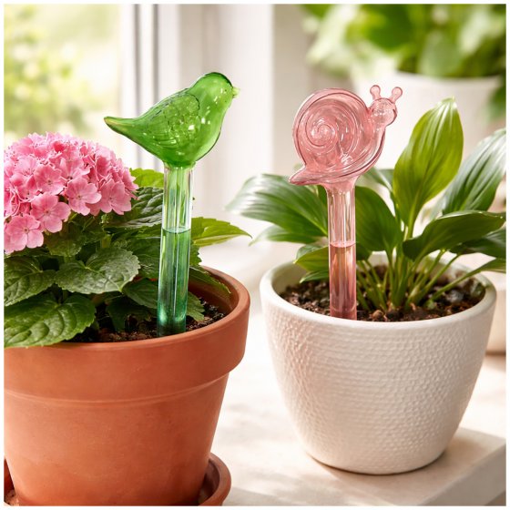 Wasserspender Blumentopf Nessa 2er-Set 