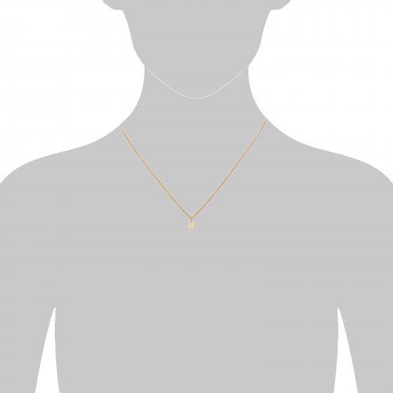 Halskette Gold 375 mit Anhänger 42/45cm lang Buchstabe R 