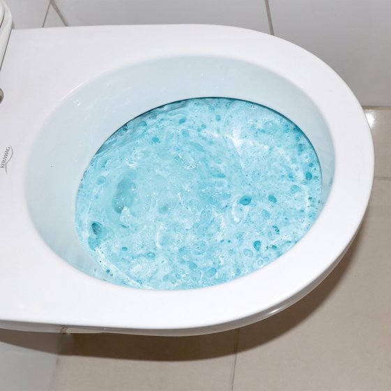 WC-Reiniger Kraftschaum 