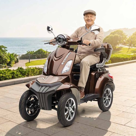E-Mobil MAXXI, 4-Rad Blei-Akku  Braun
