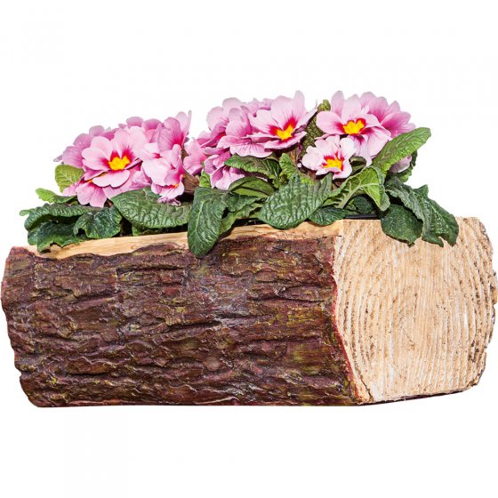 Baumstumpf-Blumenschale 