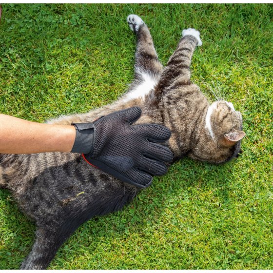 Bürstenhandschuh