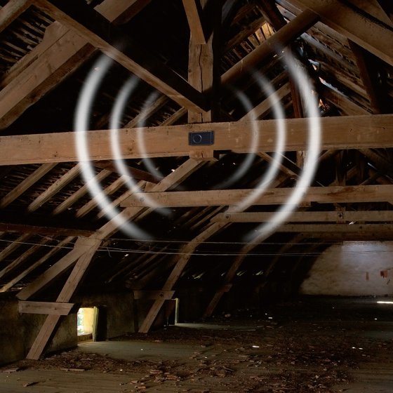 Mobiler Marderschreck „Dual“ 