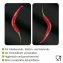 Herdabdeckplatten Universal Hot Peperoni 2er Set, für alle Herdarten - 3