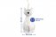 Luftbefeuchter Mod. Katze 2er Set, Füllmenge 300 ml - 3