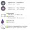 Auto-Entfeuchter mit Indikator 1000 g, 3er Set, Auto Entfeuchterkissen - 3