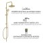 Duschsystem Mod. Young Line Gold, Handbrause mit 3 Funktionen - 3