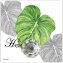 Wandhaken 4er-Set Leaf - 3