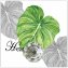 Wandhaken 4er-Set Leaf - 3