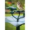 Vogeltränke Tessa 1 - 3