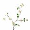 Kunstpflanze Beerenzweig 106 cm Flora - 3