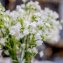 Künstlicher Frühlingsstrauß in Vase Flora - 3