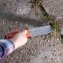 Japanisches Pflanzmesser „Hori Hori“ - 3