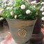 Blumentopf Nessa Sonne 3er-Set - 3