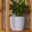 Blumentopf Nessa Hydro 27,5 cm Weiß - 3