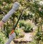 Langarm-Gartenschutzhandschuh (1 Paar) - 3