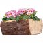 Baumstumpf-Blumenschale - 3
