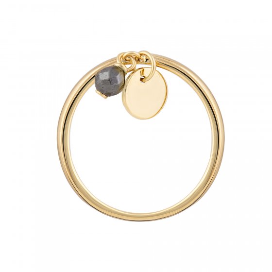 Ring 925 Silber vergoldet Anhänger Hämatit Plättchen 