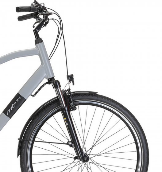 Elektro-Citybike RHEA  MAN 28 Zoll, grey 