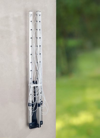 Wandwäschespinne, Aluminium 