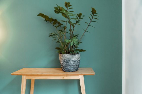 Aufbewahrungskorb Mod. Coppitella Blau, aus geflochtenem Seegras 