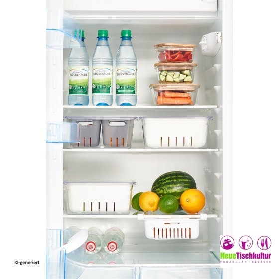Kühlschrank-Box Kunststoff 