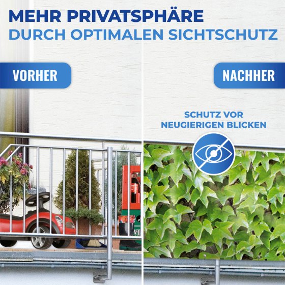 Balkon-Sichtschutz WILDER WEIN, UV- und witterungsbeständig 