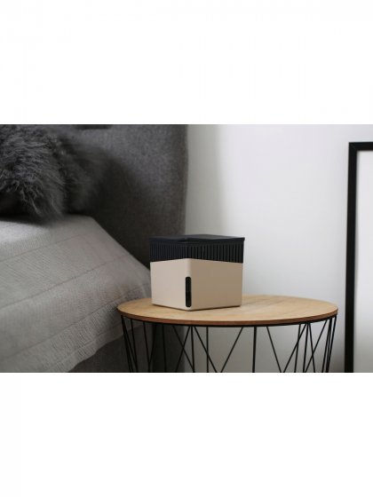 Raumentfeuchter Mod. Cube Beige, 2 x 1000 g, für Räume bis ca. 80 m³ 