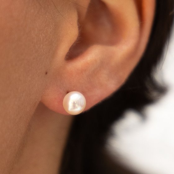 Ohrringe Gold 585 Akoya-Perle 6,5-7mm 