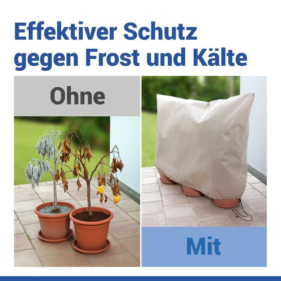 Pflanzenschutz-Vlies 180 x 120 cm, Beige, 2er Set, reißfestes Wintervlies für Pflanzen 