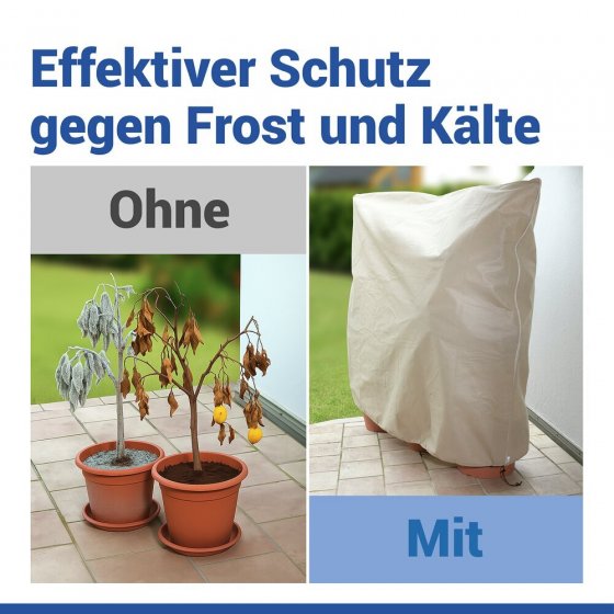 Pflanzenschutz-Vlies 200 x 240 cm, Beige, reißfestes Wintervlies für Pflanzen 