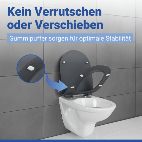 WC Sitz Mod. Sedilo Grau matt, Toilettendeckel in D-Form mit Absenkautomatik 
