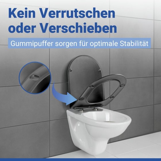 WC Sitz Mod. Galati Anthrazit matt, Toilettendeckel in D-Form mit Absenkautomatik 