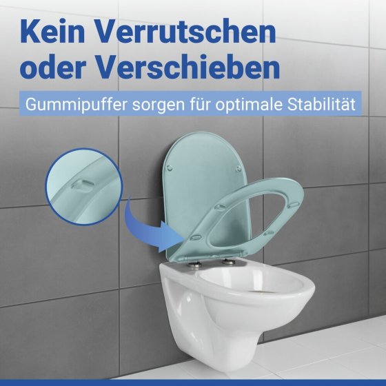 WC Sitz Mod. Galati Blaugrau matt, Toilettendeckel in D-Form mit Absenkautomatik 
