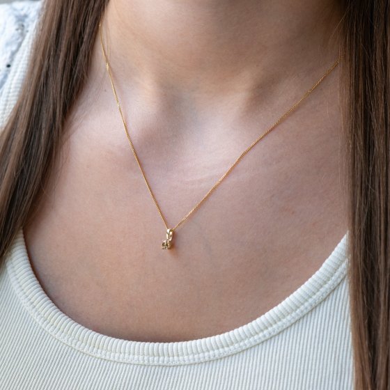 Anhänger 585/- Gelbgold 1 Brill. 0,25ct. braun 