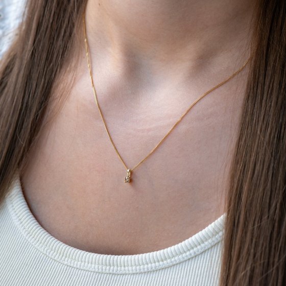 Anhänger 585/- Gelbgold glanz 1 Brill. 0,10 ct. braun 