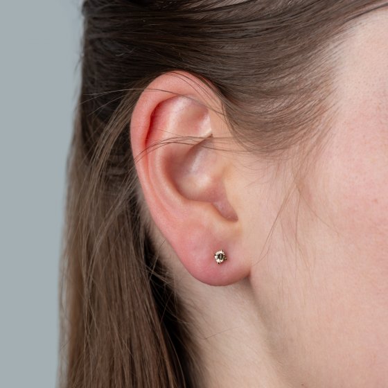 Ohrstecker 585/- Gelbgold 2 Brill. 0,25 ct. braun 