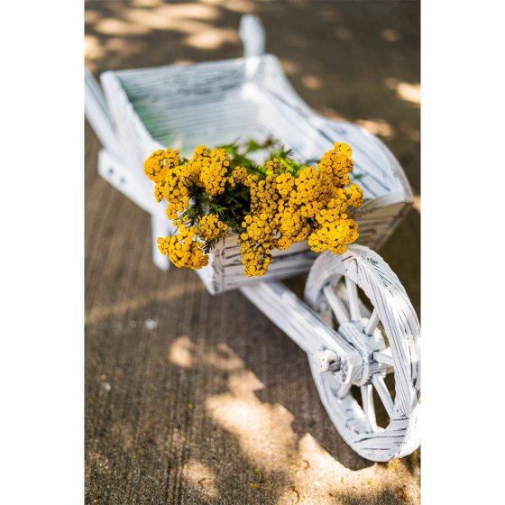 Dekoschubkarre Sommerset 