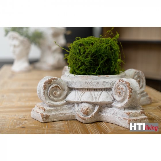 Pflanzgefäß Apollon Blumenkübel Volute