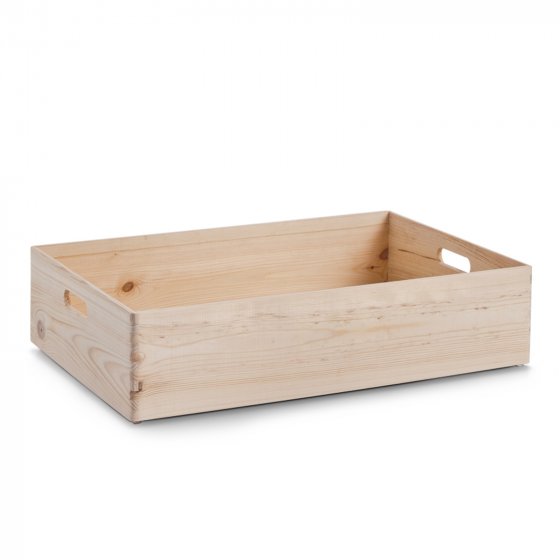 Ordnungsbox Allzweckkiste 60x40x15 